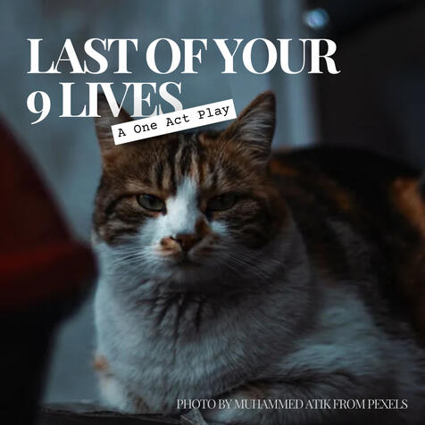 Last of Your 9 Lives